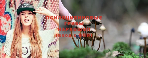 спайс Беломорск