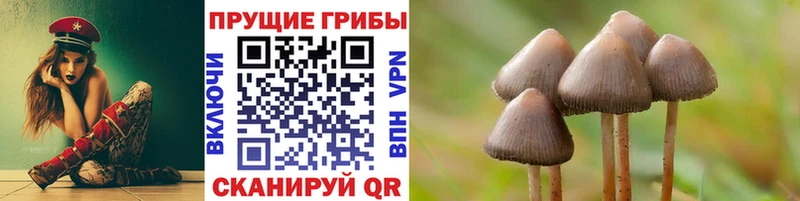 что такое наркотик  Армавир  Галлюциногенные грибы мицелий 