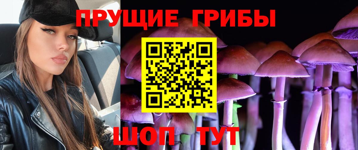 Армавир  Псилоцибиновые грибы мицелий  Вход с VPN 